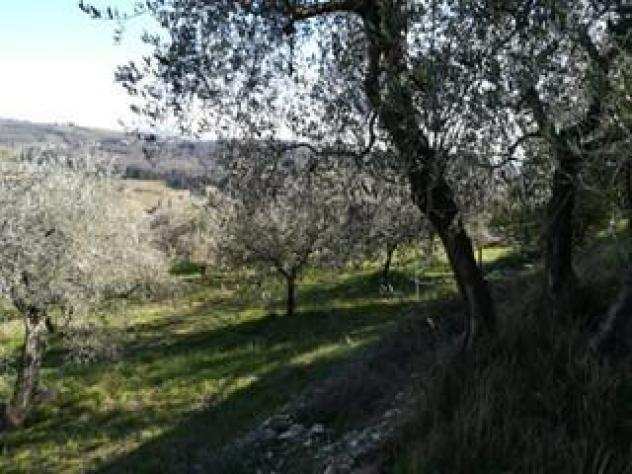Terreno agricolo in vendita a Careggi - Firenze 2000 mq Rif 877723