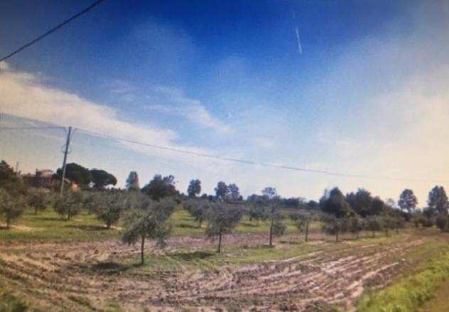 Terreno agricolo in vendita a Cascina 10000 mq Rif 908276