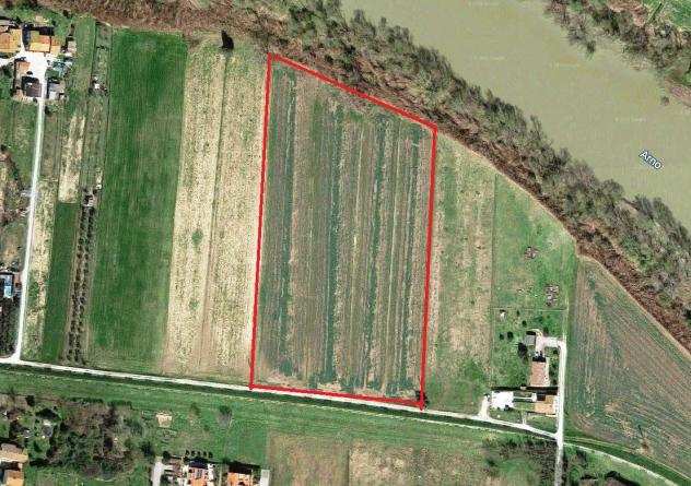 Terreno agricolo in vendita a Cascina 20000 mq Rif 839560