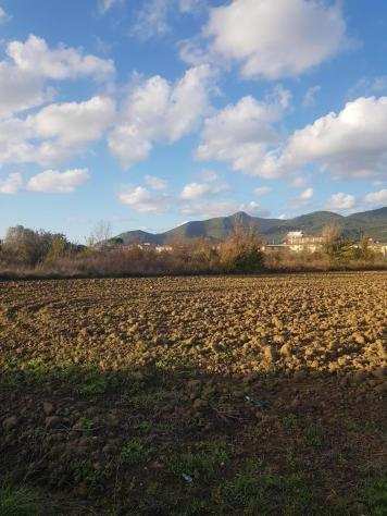 Terreno agricolo in vendita a Cascina 3000 mq Rif 1218100