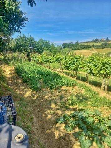 Terreno agricolo in vendita a Castelfiorentino 9860 mq Rif 1151515