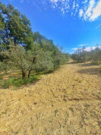 Terreno agricolo in vendita a Castelfiorentino 9860 mq Rif 1151515