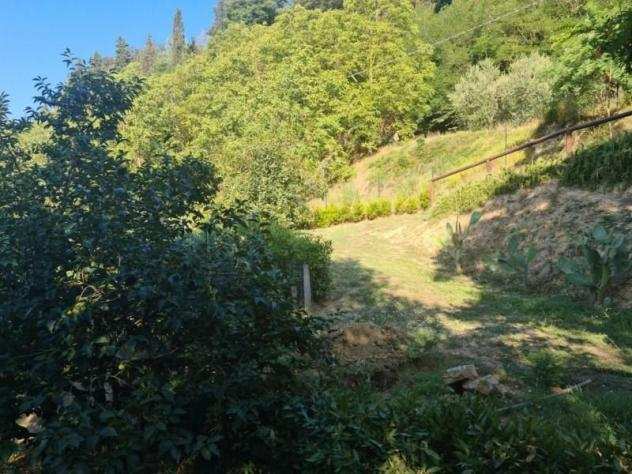 Terreno agricolo in vendita a Castelfranco di Sotto 2200 mq Rif 1059501