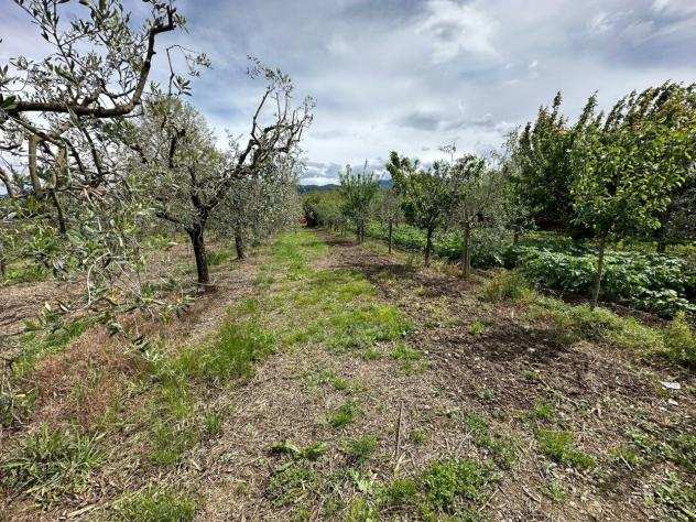 Terreno agricolo in vendita a Castelnuovo Magra 1850 mq Rif 1127698