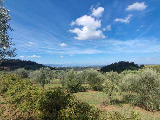 Terreno agricolo in vendita a CEPPATO - Casciana Terme Lari 24185 mq Rif 1195811