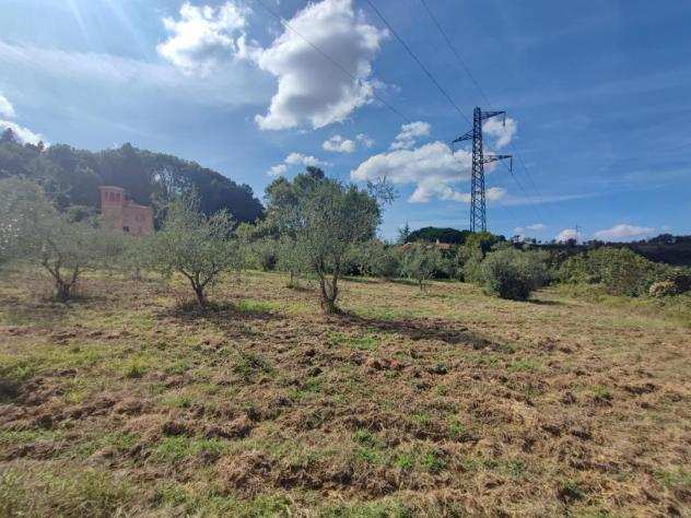 Terreno agricolo in vendita a CEPPATO - Casciana Terme Lari 24185 mq Rif 1195811