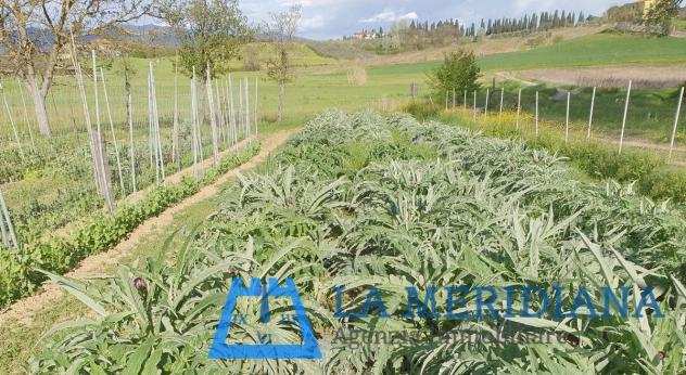 Terreno agricolo in vendita a Cerreto Guidi 21500 mq Rif 1071586