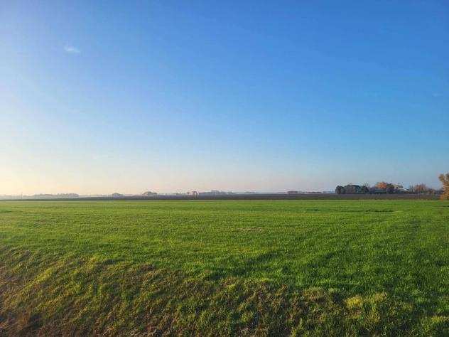 terreno agricolo in vendita a Cervia - Ravenna