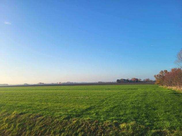 terreno agricolo in vendita a Cervia - Ravenna