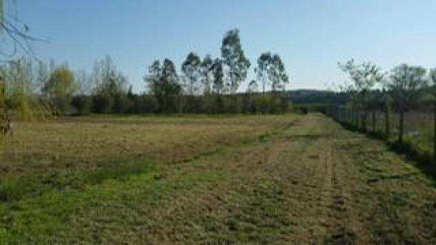 Terreno agricolo in vendita a Collesalvetti 5250 mq Rif 985160