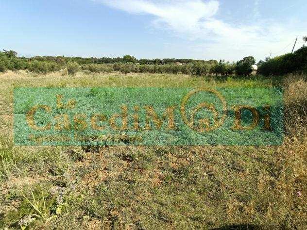 Terreno agricolo in vendita a COLLINAIA - Livorno 2100 mq Rif 1054023