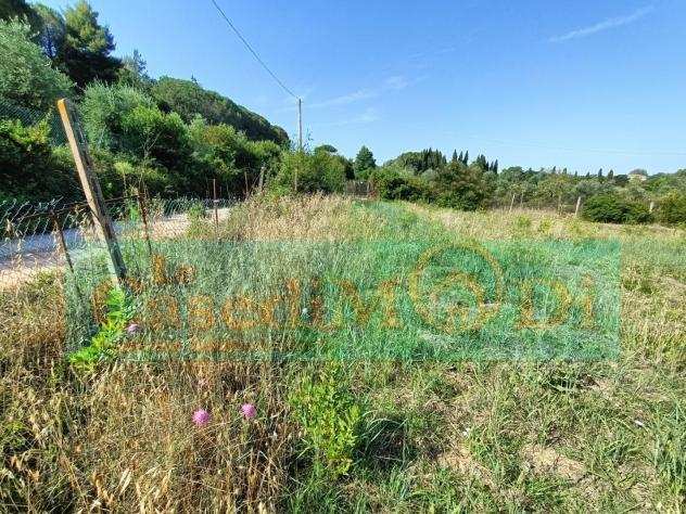 Terreno agricolo in vendita a COLLINAIA - Livorno 4100 mq Rif 1054023