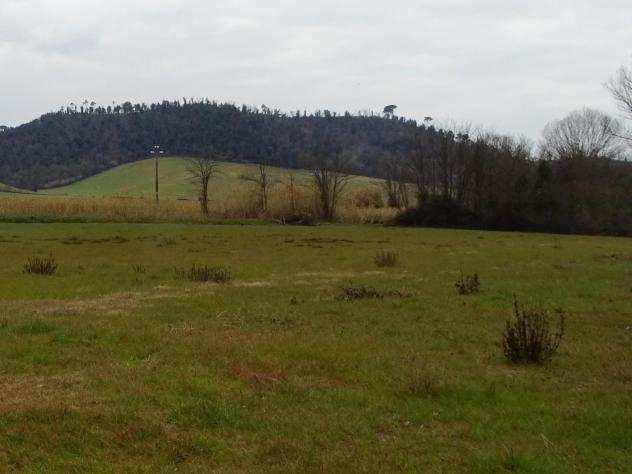 Terreno agricolo in vendita a CORAZZANO - San Miniato 115770 mq Rif 1103692