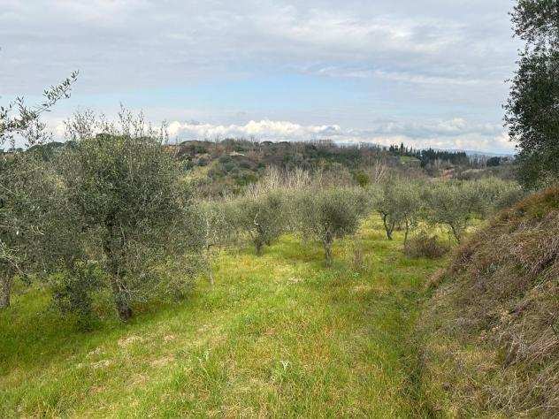 Terreno agricolo in vendita a CORNIOLA - Empoli 20000 mq Rif 1099670