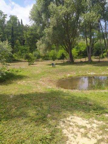 Terreno agricolo in vendita a CRESPINA - Crespina Lorenzana 10000 mq Rif 1145155