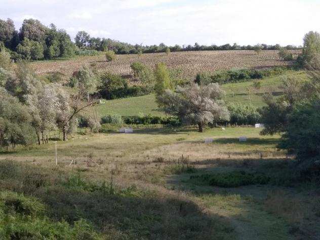 Terreno agricolo in vendita a CRESPINA - Crespina Lorenzana 87743 mq Rif 1097438