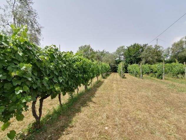 Terreno agricolo in vendita a DOGANA - Luni 1018 mq Rif 843761