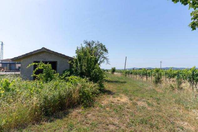 Terreno agricolo in vendita a Empoli 2900 mq Rif 1053819