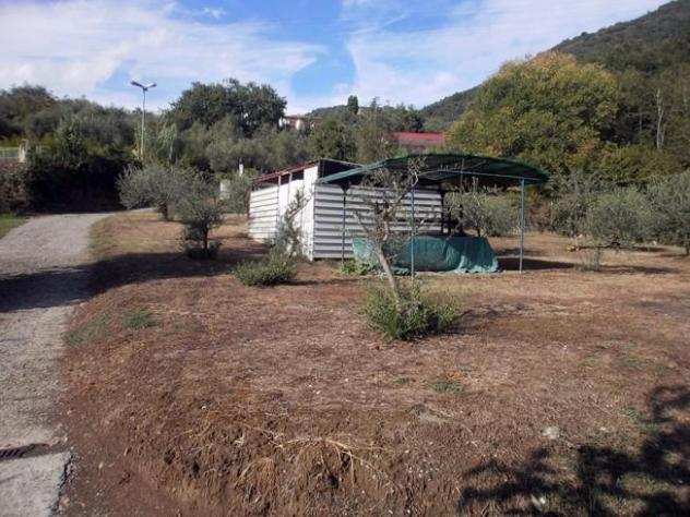 Terreno agricolo in vendita a FOSSONE - Carrara 1200 mq Rif 798745