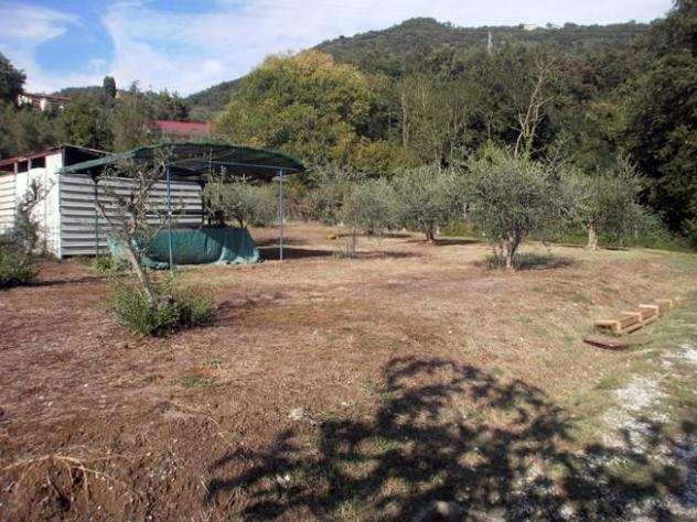 Terreno agricolo in vendita a FOSSONE - Carrara 1200 mq Rif 798745