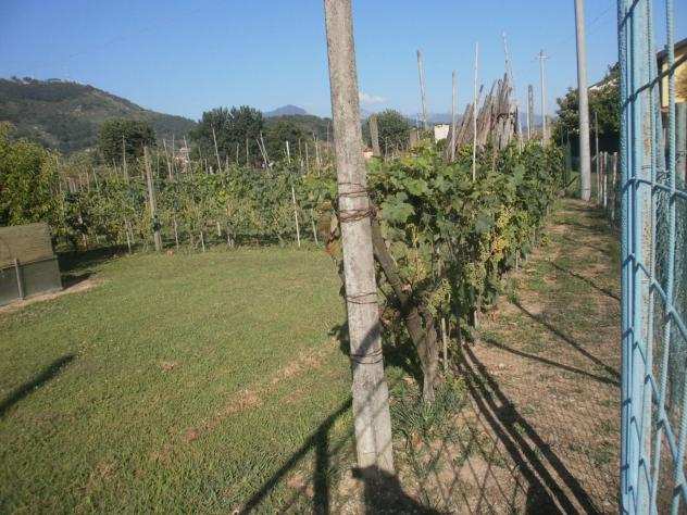 Terreno agricolo in vendita a FOSSONE - Carrara 1720 mq Rif 798760