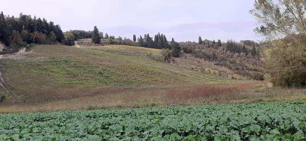 Terreno agricolo in vendita a GENOVINI - San Miniato 78800 mq Rif 1018907