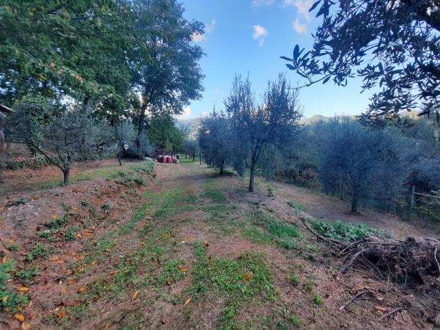 Terreno agricolo in vendita a LAPPATO - Capannori 5000 mq Rif ter lapp 30