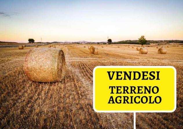 Terreno agricolo in vendita a LATIGNANO - Cascina 10640 mq Rif 1170135
