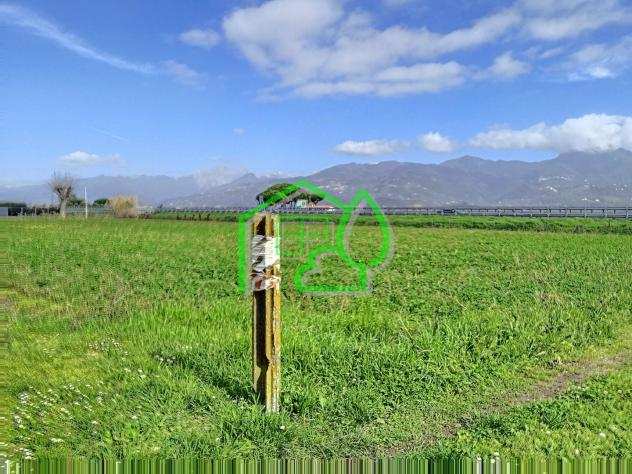 Terreno agricolo in vendita a LIDO DI CAMAIORE - Camaiore 4200 mq Rif 1103634