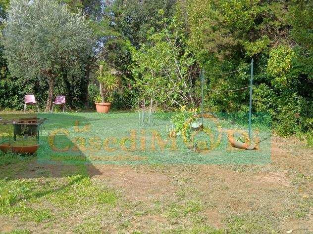 Terreno agricolo in vendita a Livorno 2000 mq Rif 1048345