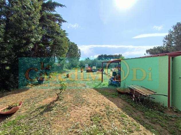 Terreno agricolo in vendita a Livorno 2000 mq Rif 1048345