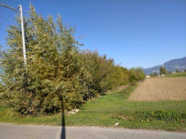 Terreno agricolo in vendita a Lucca 2500 mq Rif 1014450