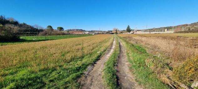 Terreno agricolo in vendita a Luciana - Fauglia 4040 mq Rif 1230267
