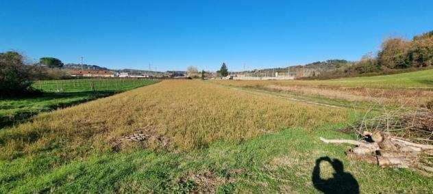 Terreno agricolo in vendita a LUCIANA - Fauglia 4040 mq Rif 1230267