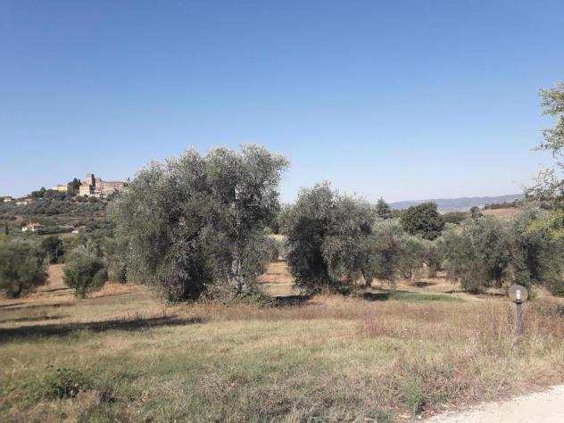 Terreno agricolo in vendita a Manciano 210000 mq Rif 1190900