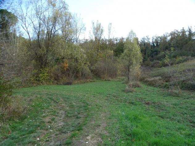 Terreno agricolo in vendita a MARZANA - San Miniato 81970 mq Rif 1017455