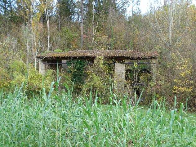 Terreno agricolo in vendita a MARZANA - San Miniato 81970 mq Rif 1017455