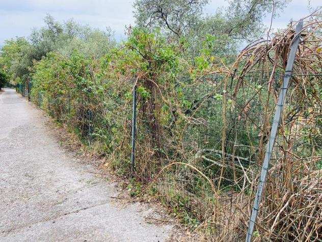 Terreno agricolo in vendita a Massa 1960 mq Rif 1237548