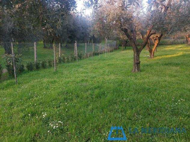 Terreno agricolo in vendita a Monsummano Terme 1000 mq Rif 1249169