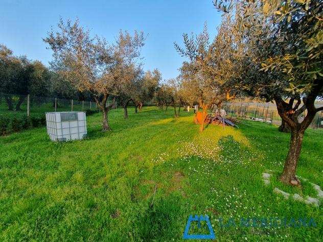 Terreno agricolo in vendita a Monsummano Terme 1000 mq Rif 1249169