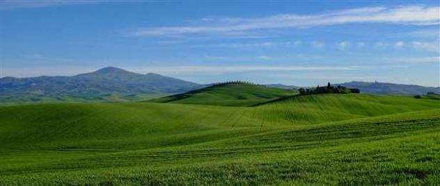 Terreno agricolo in vendita a Montalcino 5430000 mq Rif 942274
