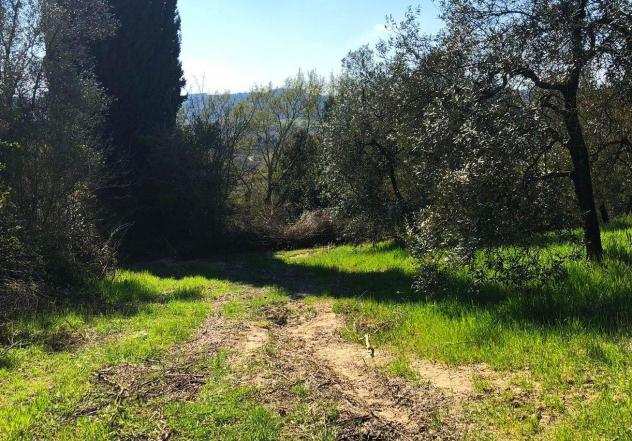 Terreno agricolo in vendita a MONTERAPPOLI - Empoli 11630 mq Rif 774564