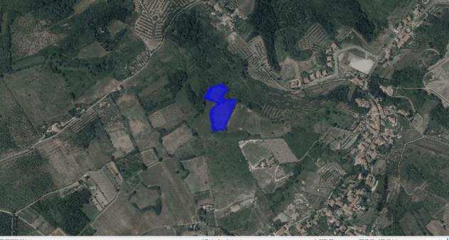 Terreno agricolo in vendita a MONTERAPPOLI - Empoli 11630 mq Rif 774564