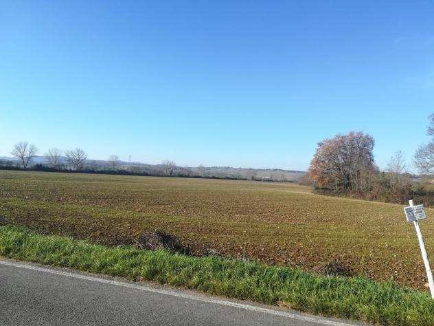 Terreno agricolo in vendita a Monteriggioni 60000 mq Rif 1027416