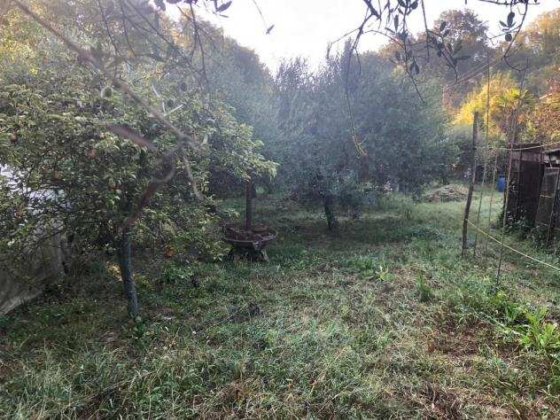 Terreno agricolo in vendita a Montopoli in Val dArno 2200 mq Rif 1189684