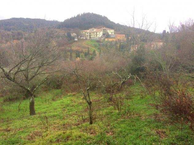 Terreno agricolo in vendita a Nibbiaia - Rosignano Marittimo 8360 mq Rif 635349