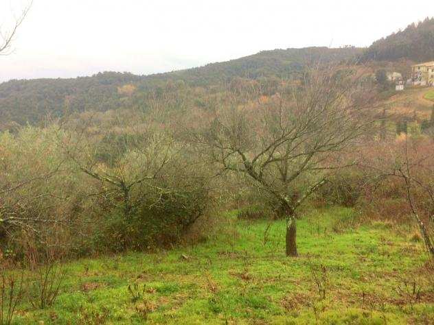 Terreno agricolo in vendita a Nibbiaia - Rosignano Marittimo 8360 mq Rif 635349