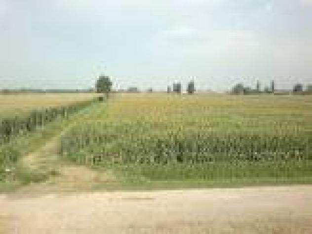 Terreno agricolo in vendita a NODICA - Vecchiano 5830 mq Rif 648812