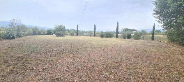 Terreno agricolo in vendita a Orentano - Castelfranco di Sotto 4200 mq Rif 1202753