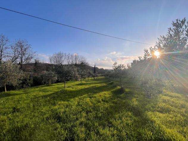 Terreno agricolo in vendita a PERIGNANO - Casciana Terme Lari 4000 mq Rif 1086586